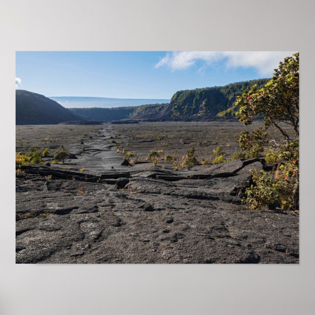  atop dry lava bed of kilauea iki crater poster (Front)