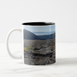 atop dry lava bed of kilauea iki crater Two-Tone coffee mug