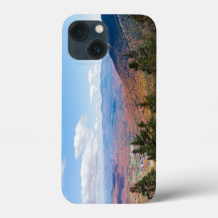 atop mount mansfield overlooking stowe iPhone 13 mini case