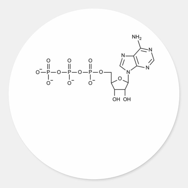 ATP Formula for Biology & Science Teacher Classic Round Sticker (Front)
