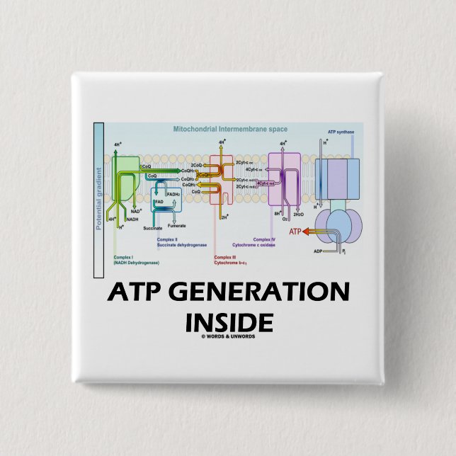 ATP Generation Inside (Electron Transport Chain) 15 Cm Square Badge (Front)