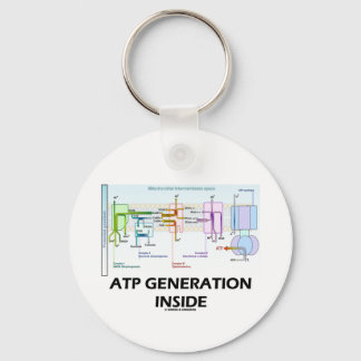 ATP Generation Inside (Electron Transport Chain) Key Ring
