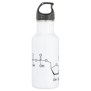 ATP molecule 532 Ml Water Bottle