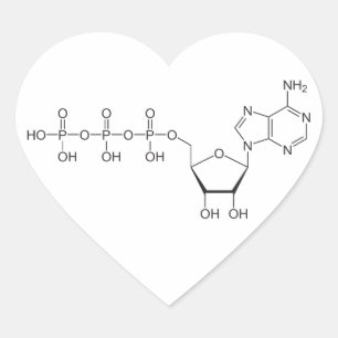 ATP molecule Heart Sticker