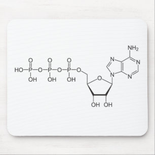 ATP molecule Mouse Mat