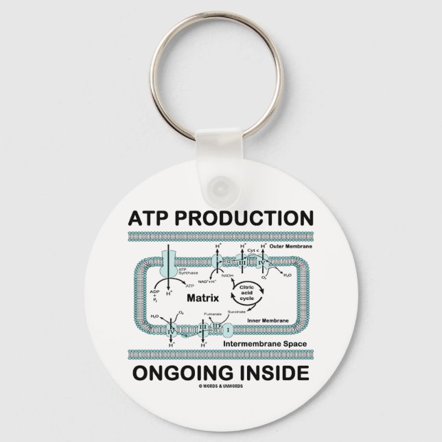 ATP Production Ongoing Inside Key Ring (Front)