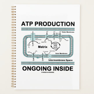 ATP Production Ongoing Inside Mitochondrion Planner