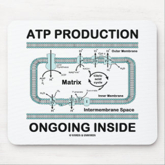 ATP Production Ongoing Inside Mouse Mat