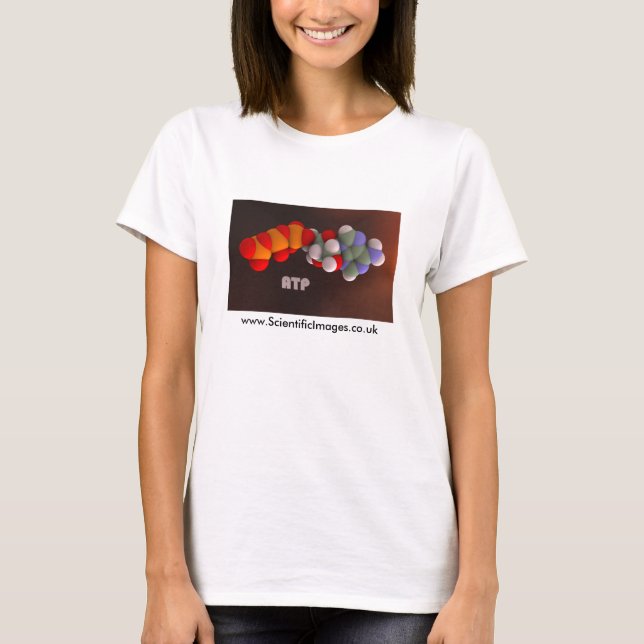 ATP - the energy molecule T-Shirt (Front)