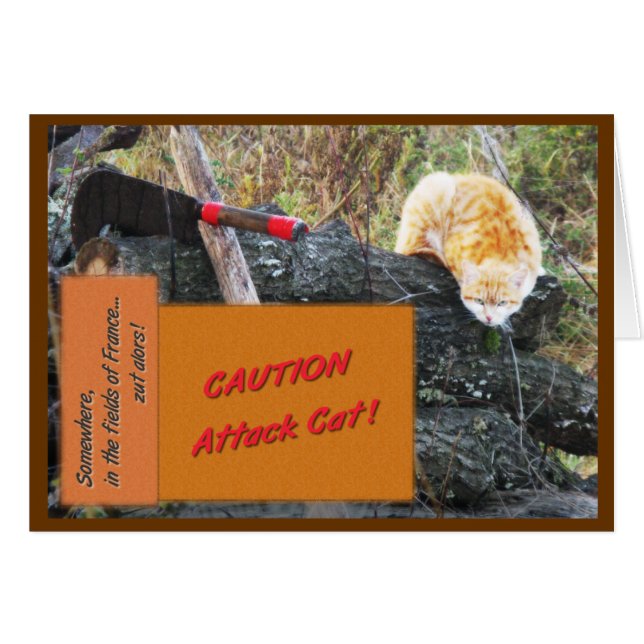 Attack Cat (Front Horizontal)