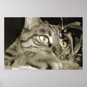 Attack Poster