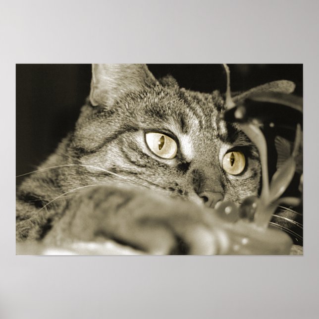 Attack Poster (Front)