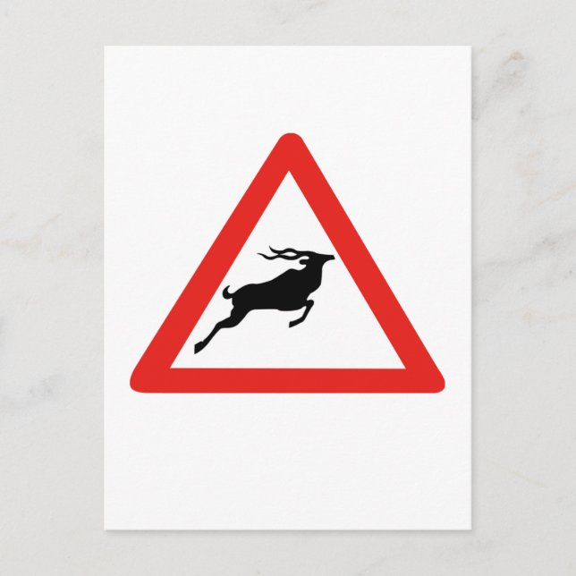 Attention Kudus, Traffic Sign, South Africa Postcard (Front)