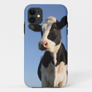 Attentive cow iPhone 11 case