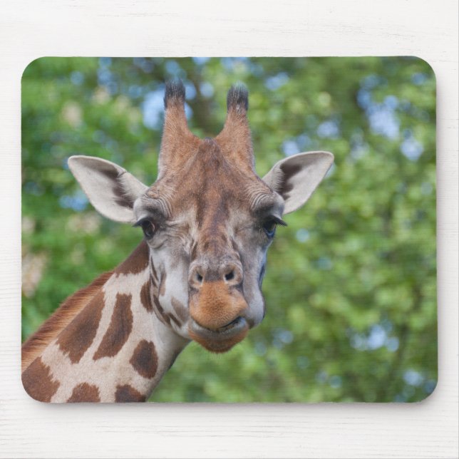 Attentive Giraffe Mouse Mat (Front)
