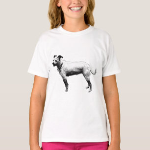 Attentive Terrier Mix Graphic Tee