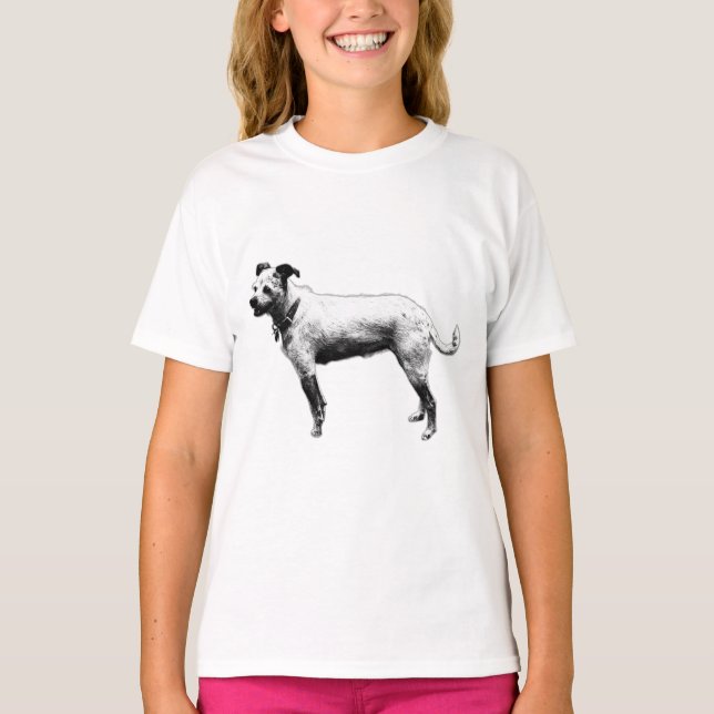 Attentive Terrier Mix Graphic Tee (Front)