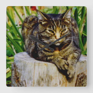 Attitude Cat Square Wall Clock