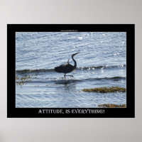 ATTITUDE IS EVERYTHING Great Blue Heron Photo