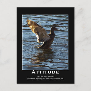 Attitude Mallard Duck Motivational Postcards