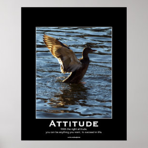 Attitude Mallard Duck Motivational Posters
