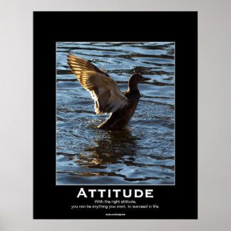 Attitude Mallard Duck Motivational Posters