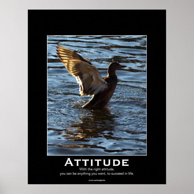 Attitude Mallard Duck Motivational Posters (Front)