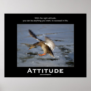 Attitude Mallard Duck Motivational Posters