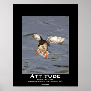 Attitude Mallard Duck Motivational Posters