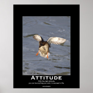 Attitude Mallard Duck Motivational Posters