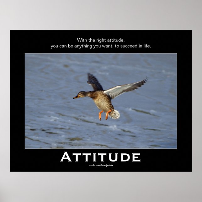 Attitude Mallard Duck Motivational Posters (Front)