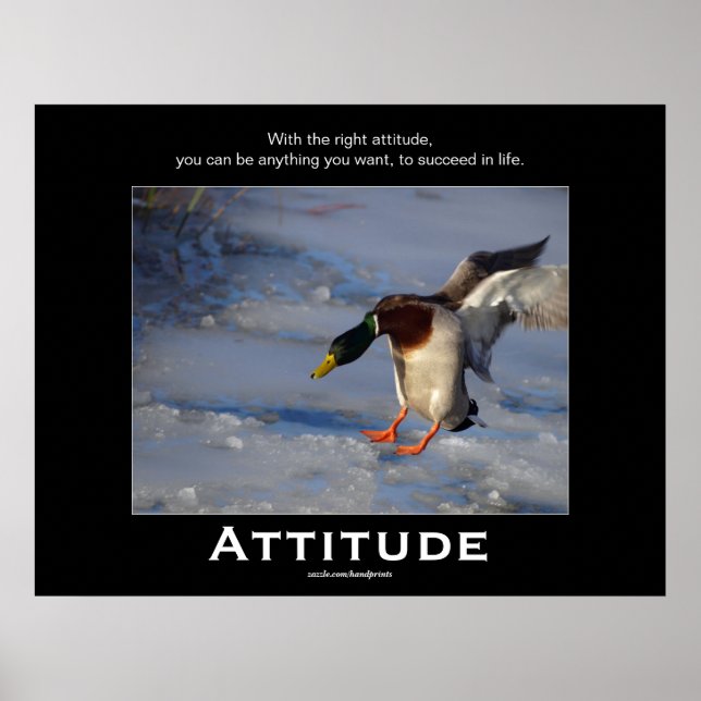 Attitude Mallard Duck Motivational Posters (Front)