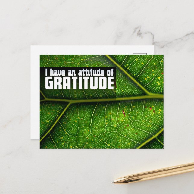 "Attitude of gratitude" Motivation Affirmation Postcard (Front/Back In Situ)