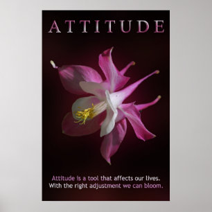 Attitude Poster