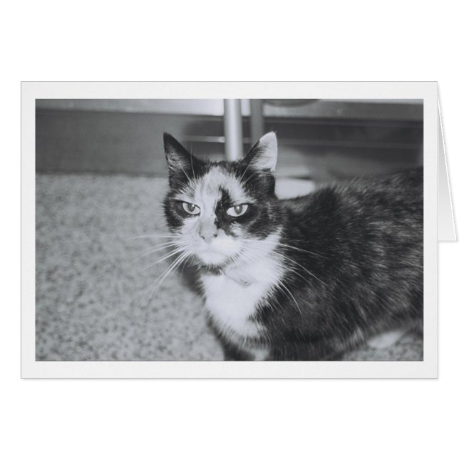 Attitude Problem (Front Horizontal)