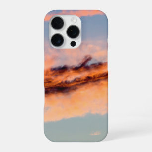 attraction consumption iPhone 16 pro case