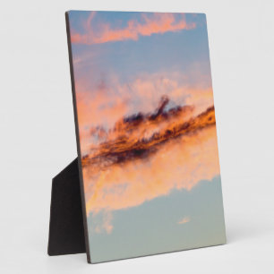 attraction consumption plaque