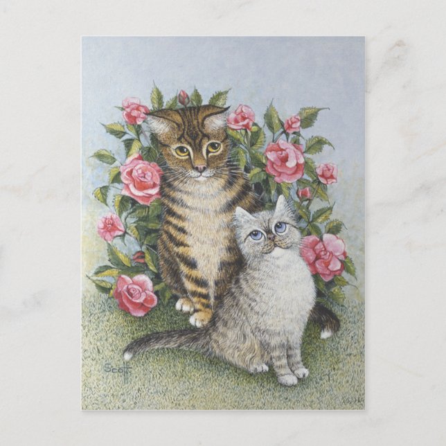 Attraction Postcard (Front)