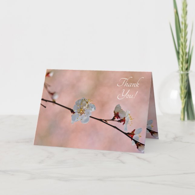 Attractive Japanese Apricot Flowers Thank You Card (Front)