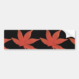 Attractive Japanese maple leaf Bumper Sticker