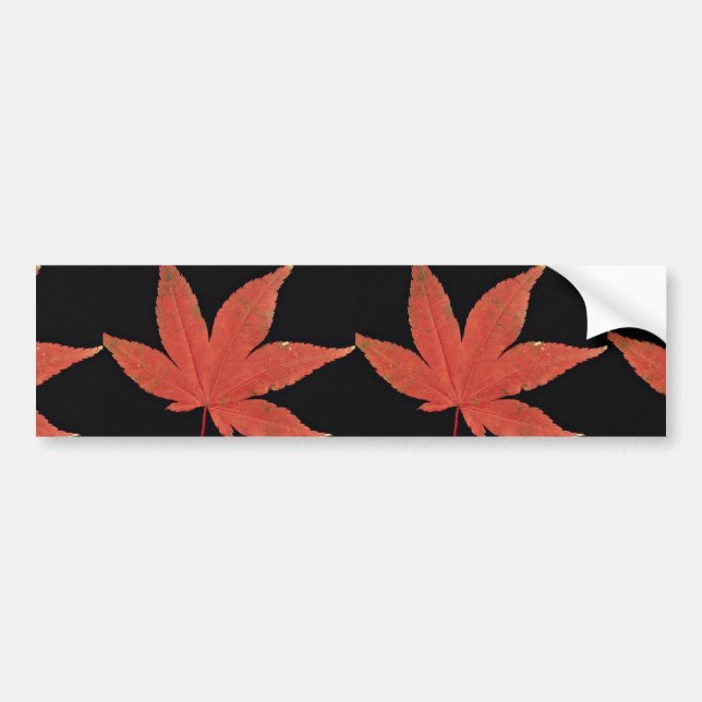 Attractive Japanese maple leaf Bumper Sticker (Front)