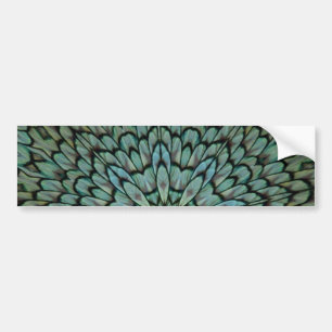 Attractive Peacock Feathers Kaleidoscope Bumper Sticker