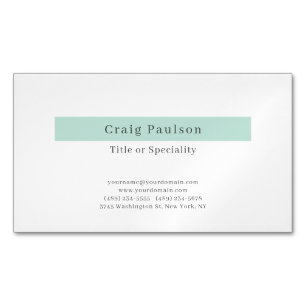 Attractive Simple Plain Professional Modern Magnetic Business Card