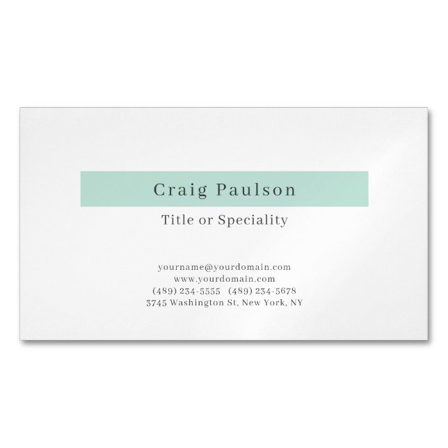Attractive Simple Plain Professional Modern Magnetic Business Card (Front)