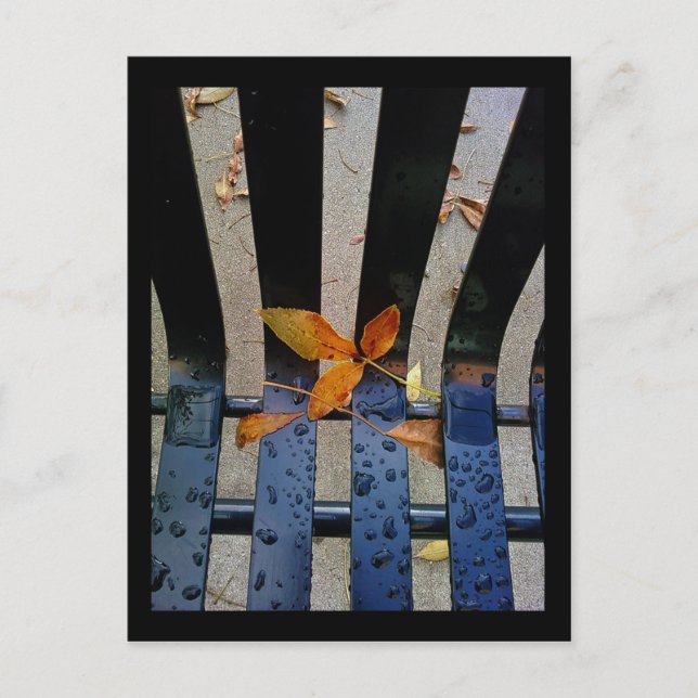 atutumn bench postcard (Front)