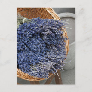 Au pays des lavandes postcard