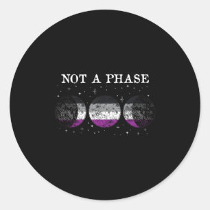 Aual Pride Flag Not A Phase _1  Classic Round Sticker