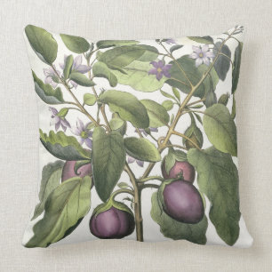 Aubergine: Melanzana fructu pallido, from the 'Hor Cushion