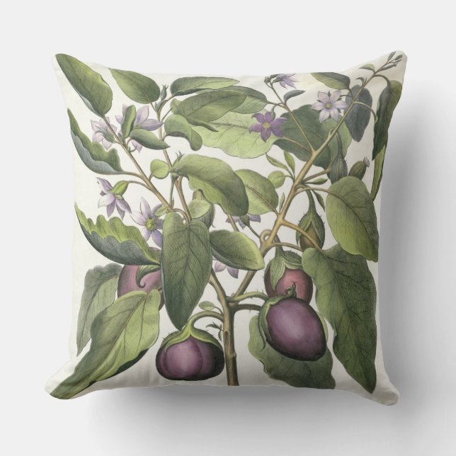 Aubergine: Melanzana fructu pallido, from the 'Hor Cushion (Front)