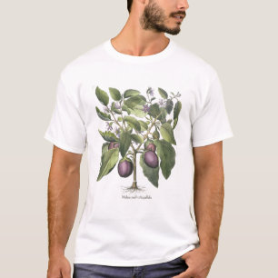 Aubergine: Melanzana fructu pallido, from the 'Hor T-Shirt